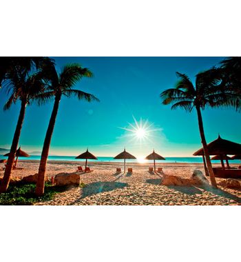 Прямые рейсы из Ташкента во Вьетнам